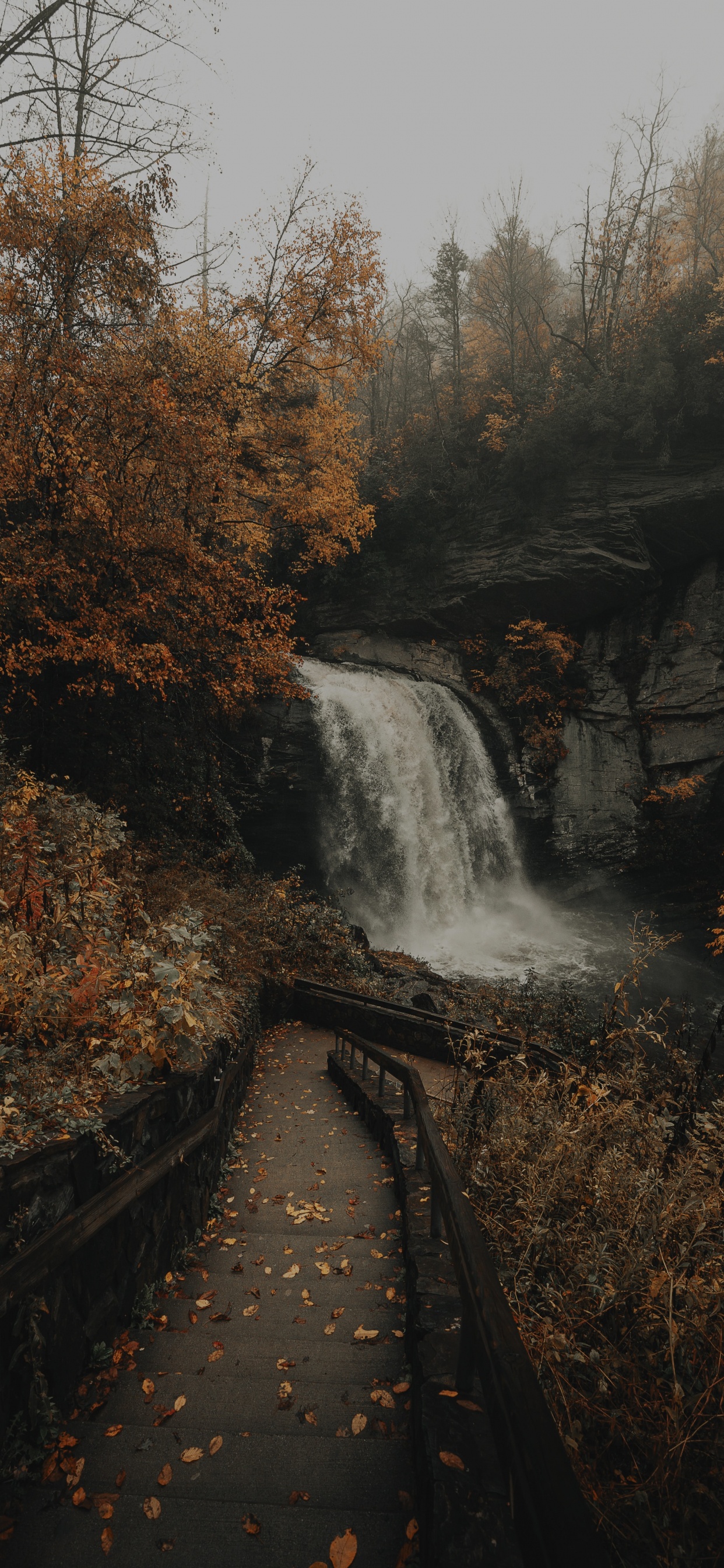 Corps de L'eau, Cascade, Nature, Eau, Paysage Naturel. Wallpaper in 1242x2688 Resolution
