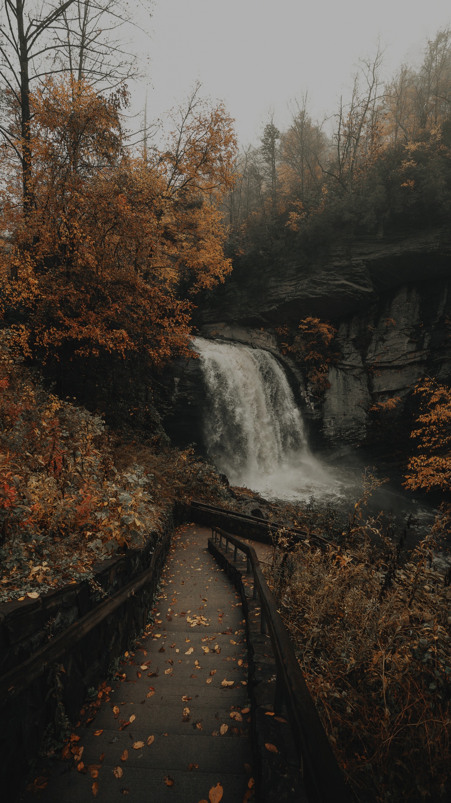 Corps de L'eau, Cascade, Nature, Eau, Paysage Naturel. Wallpaper in 1440x2560 Resolution