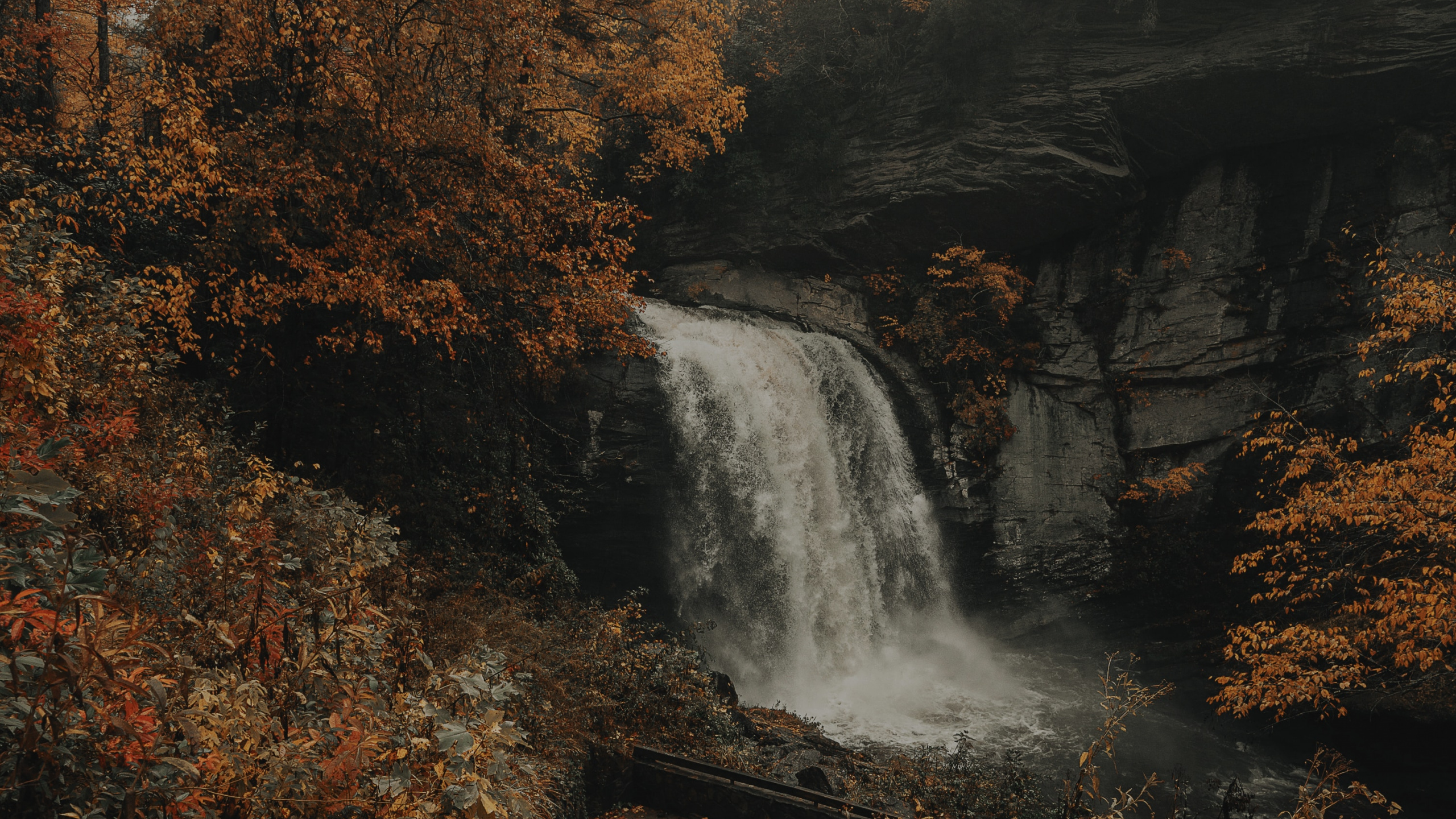 Corps de L'eau, Cascade, Nature, Eau, Paysage Naturel. Wallpaper in 2560x1440 Resolution