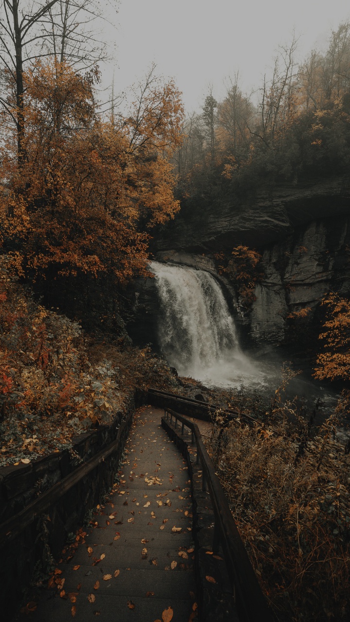 Corps de L'eau, Cascade, Nature, Eau, Paysage Naturel. Wallpaper in 720x1280 Resolution
