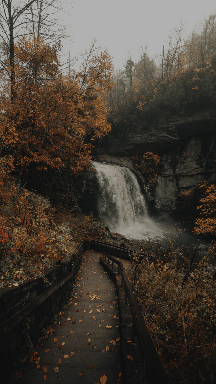 Corps de L'eau, Cascade, Nature, Eau, Paysage Naturel. Wallpaper in 750x1334 Resolution