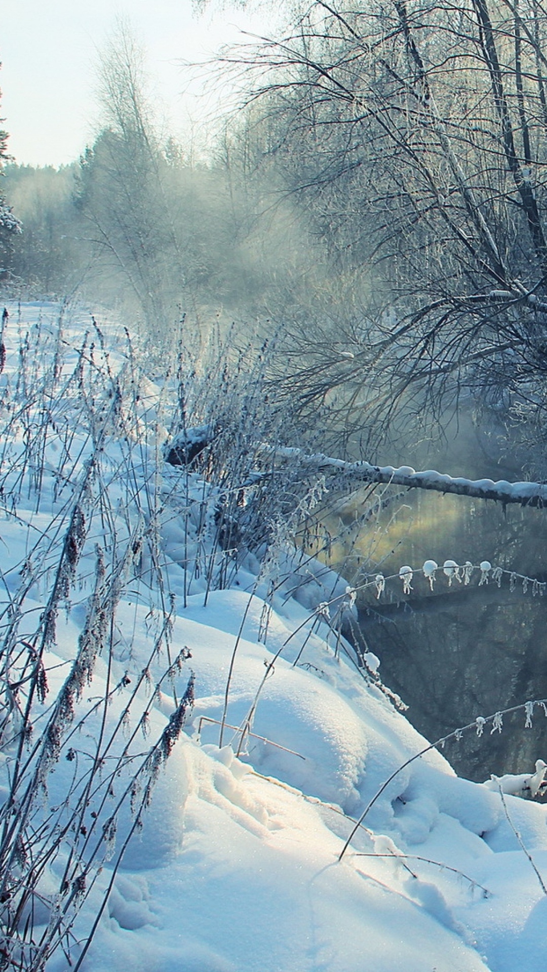Schneebedeckte Bäume Und Berge Tagsüber. Wallpaper in 1080x1920 Resolution