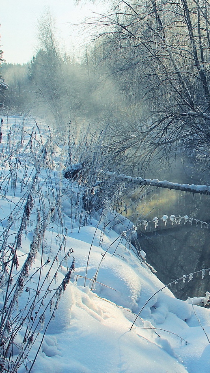 Árboles Cubiertos de Nieve y Montañas Durante el Día. Wallpaper in 720x1280 Resolution