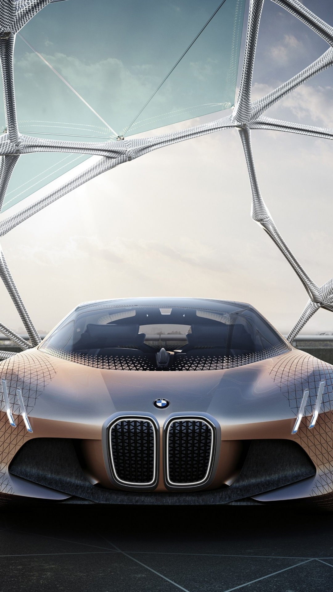 Bmw Vision Next 100 Frente, BMW Next 100, BMW, Coche, Bayerische Motoren Werke AG. Wallpaper in 1080x1920 Resolution