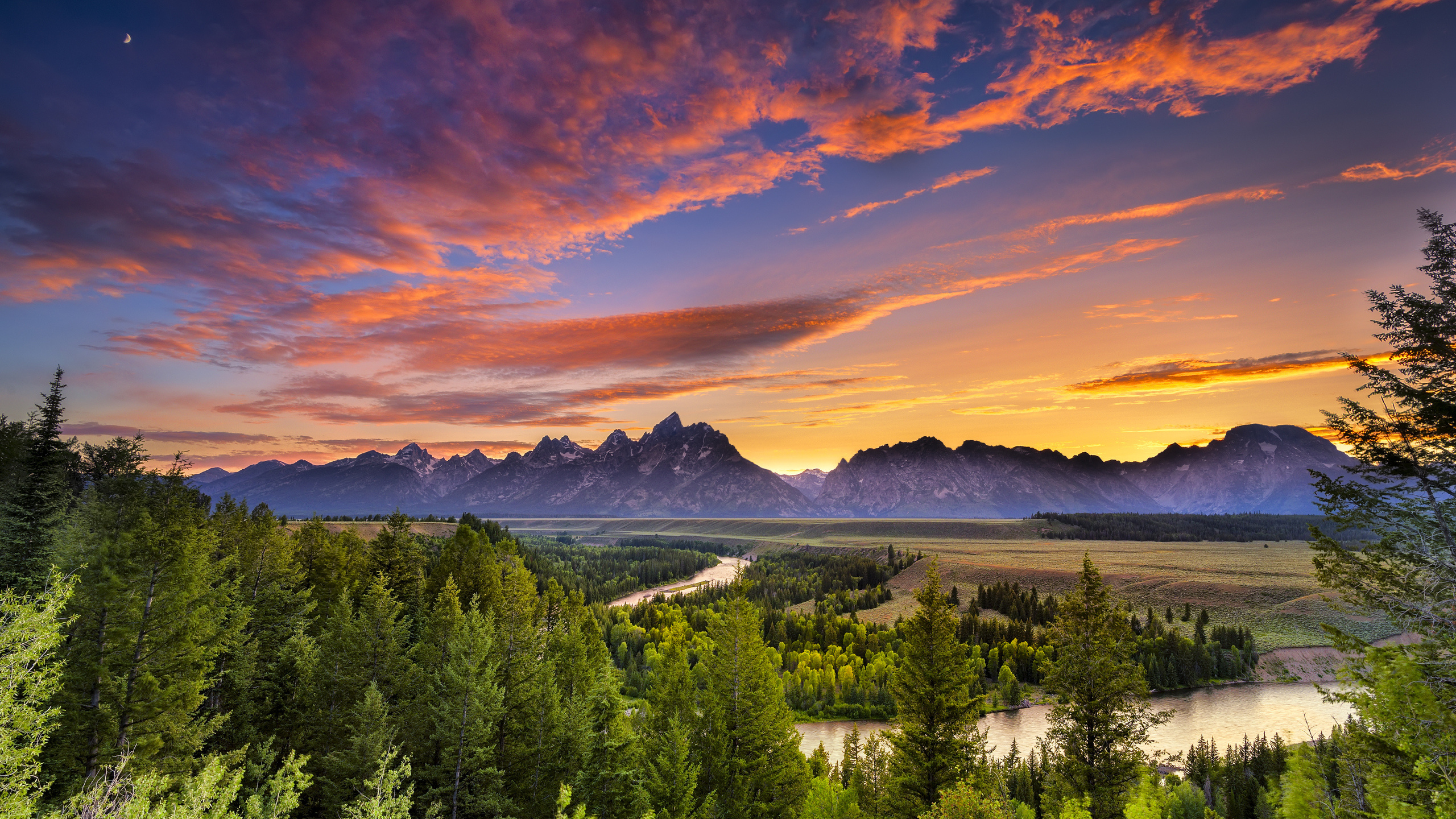 Green Pine Trees Near Mountain Under Blue Sky During Daytime. Wallpaper in 2560x1440 Resolution