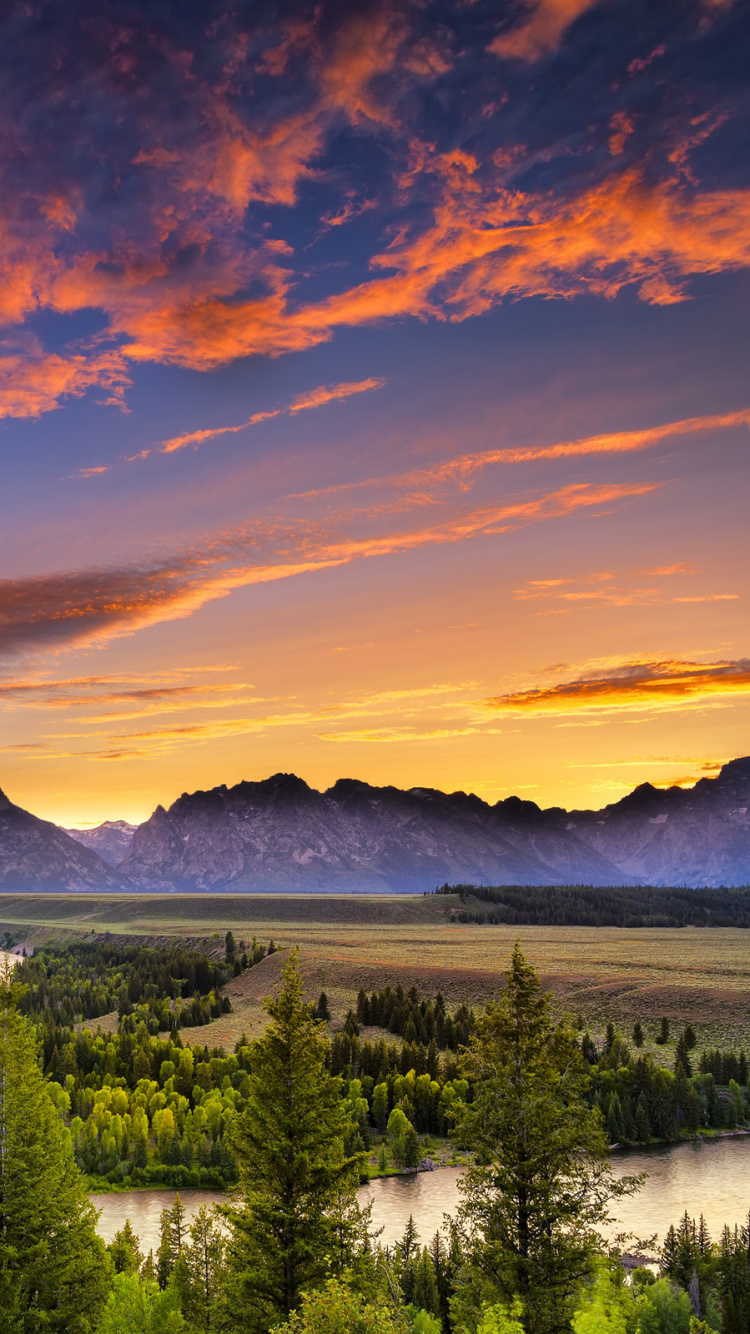 Green Pine Trees Near Mountain Under Blue Sky During Daytime. Wallpaper in 750x1334 Resolution