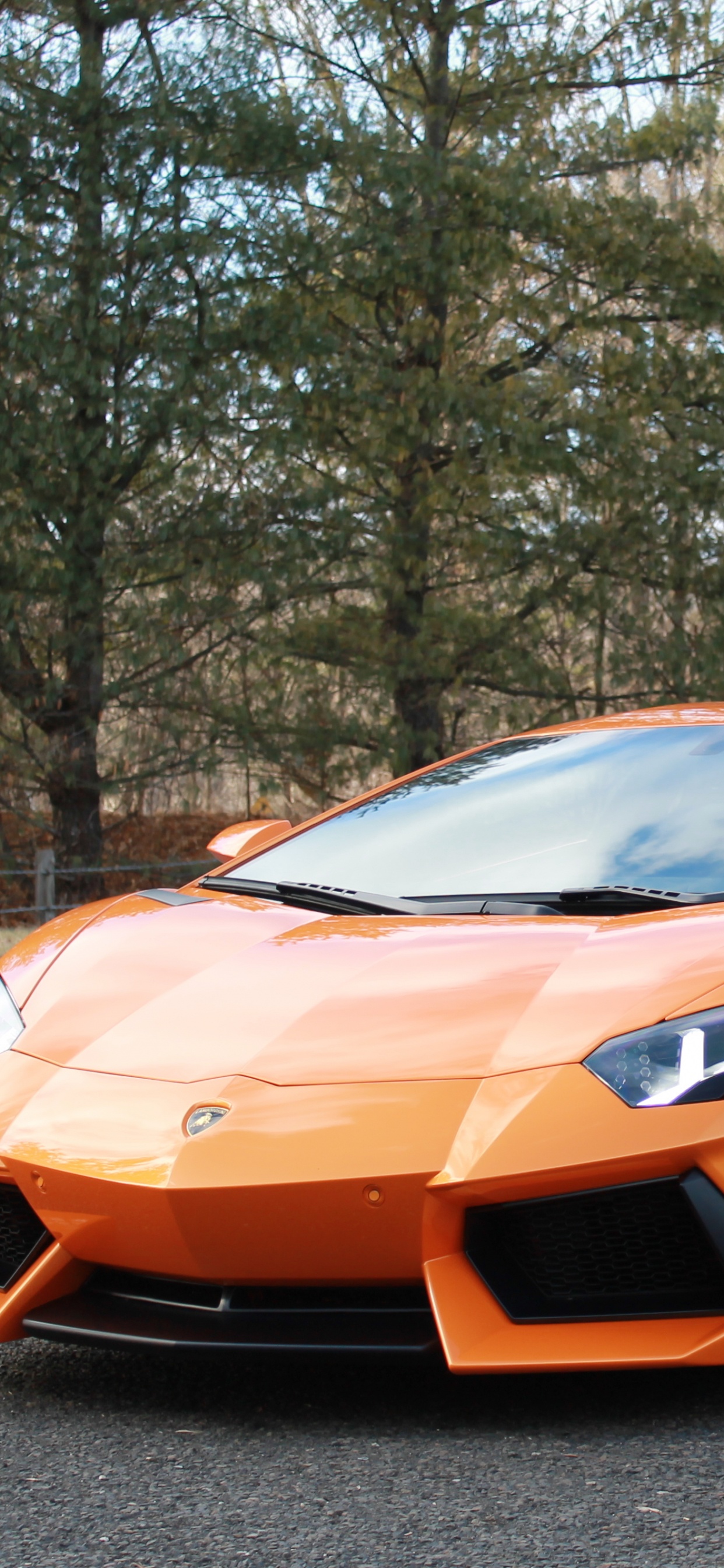 Orange Lamborghini Aventador Parked on Black Asphalt Road During Daytime. Wallpaper in 1242x2688 Resolution