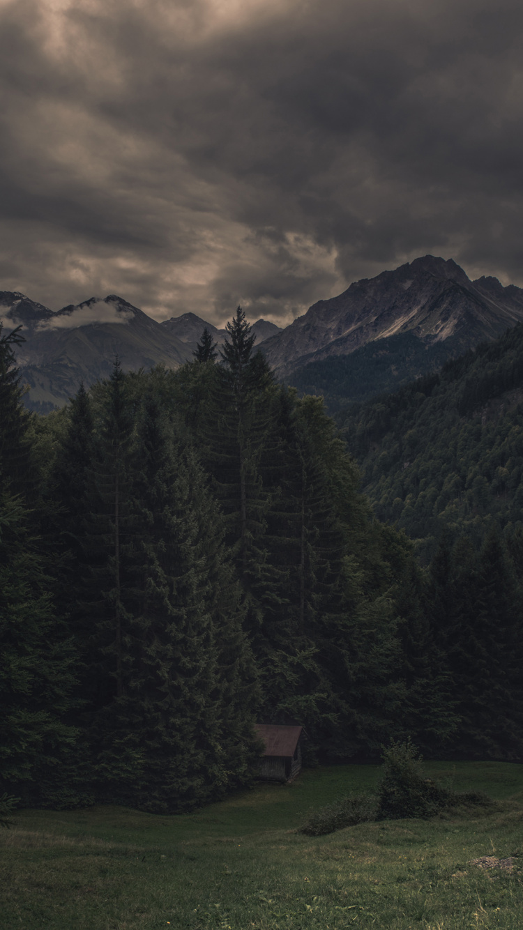 Highland, Montaña, Paisaje Natural, Alerce, Atardecer. Wallpaper in 750x1334 Resolution