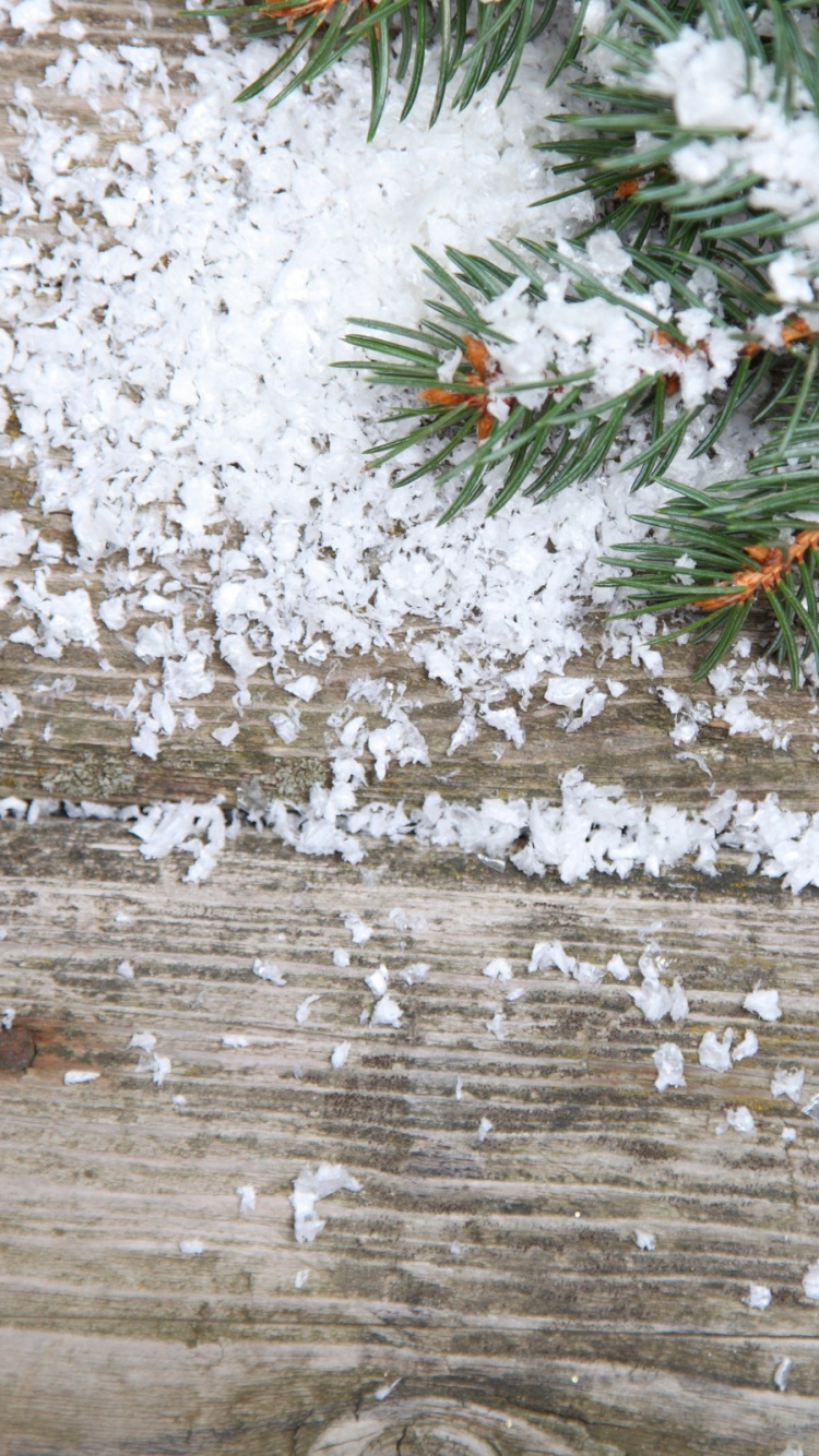 Weihnachtsbaum, Christmas Ornament, Weihnachten, Fir, Baum. Wallpaper in 750x1334 Resolution