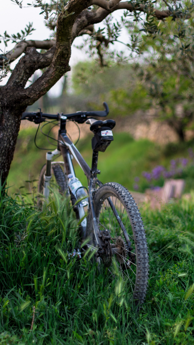 Bicicleta de Montaña Rígida Blanca y Negra en Campo de Hierba Verde Durante el Día. Wallpaper in 750x1334 Resolution