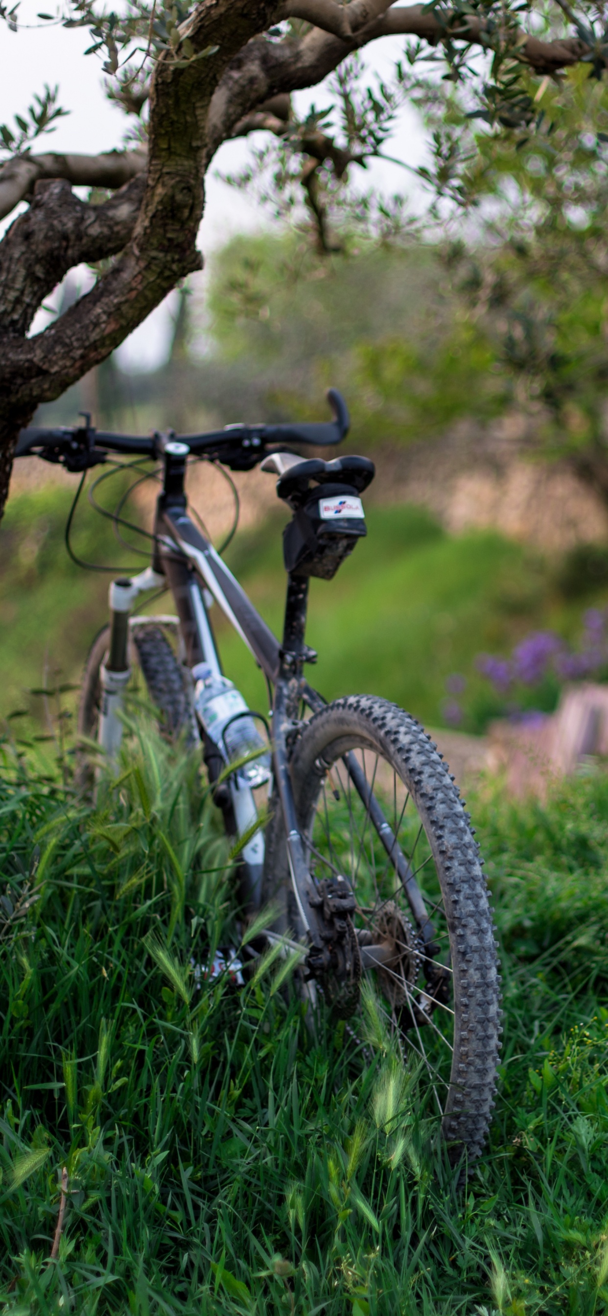 White and Black Hardtail Mountain Bike on Green Grass Field During Daytime. Wallpaper in 1242x2688 Resolution