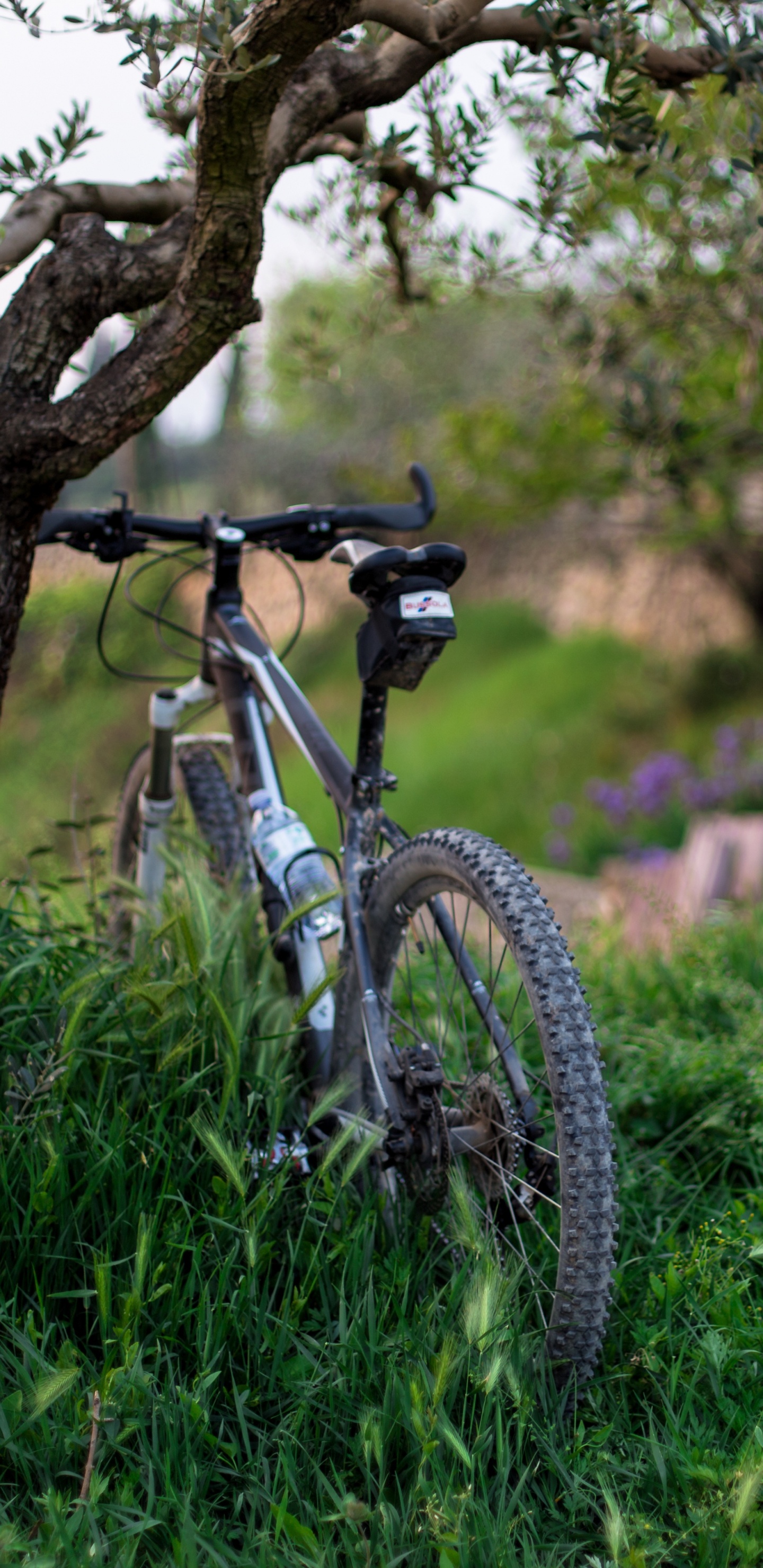 White and Black Hardtail Mountain Bike on Green Grass Field During Daytime. Wallpaper in 1440x2960 Resolution