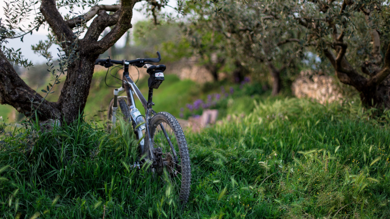 Weißes Und Schwarzes Hardtail-Mountainbike Auf Grüner Wiese Tagsüber. Wallpaper in 1280x720 Resolution