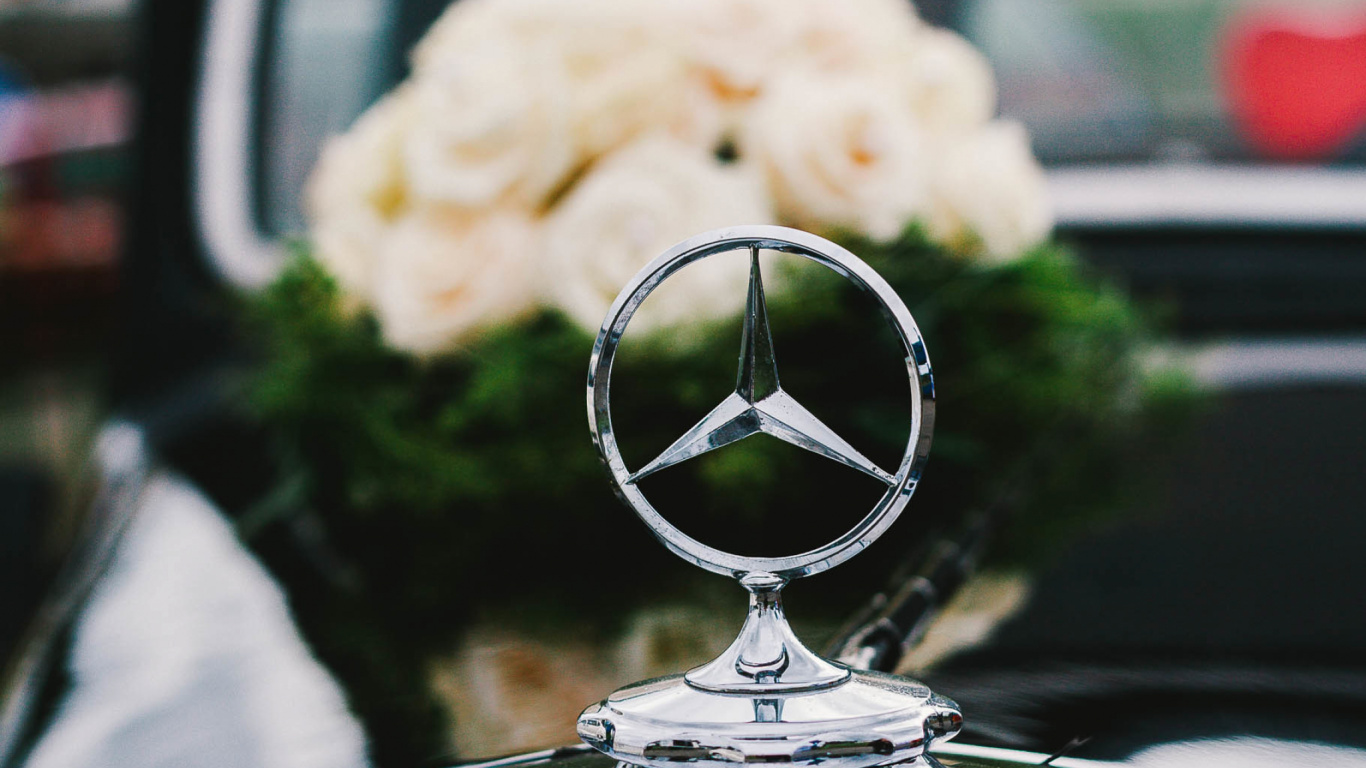 Weiße Baumwolle Auf Silbernem Rundrahmen. Wallpaper in 1366x768 Resolution