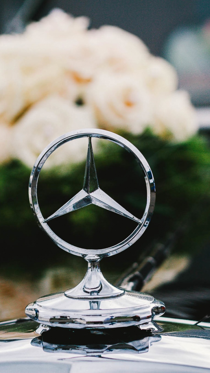 Algodón Blanco Sobre Marco Redondo Plateado. Wallpaper in 720x1280 Resolution