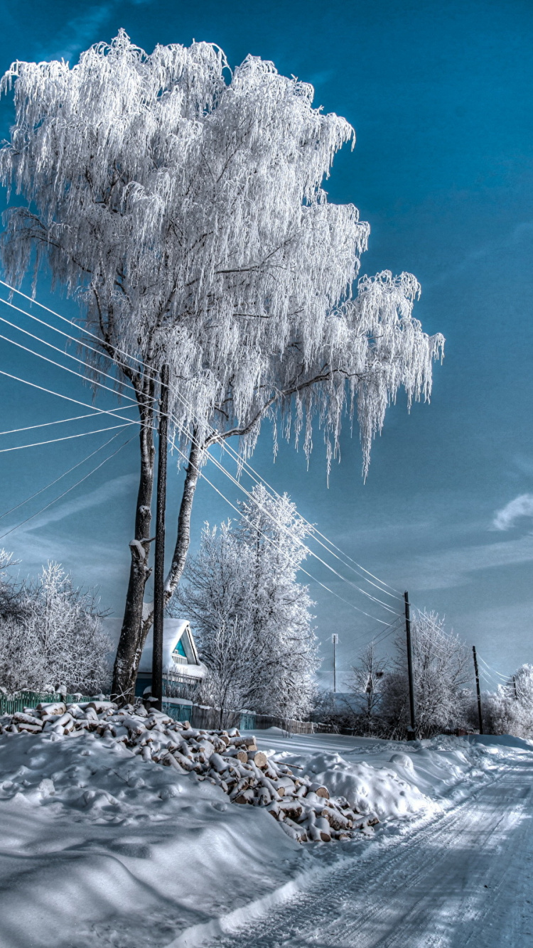 Snow Covered Trees Under Blue Sky During Daytime. Wallpaper in 750x1334 Resolution