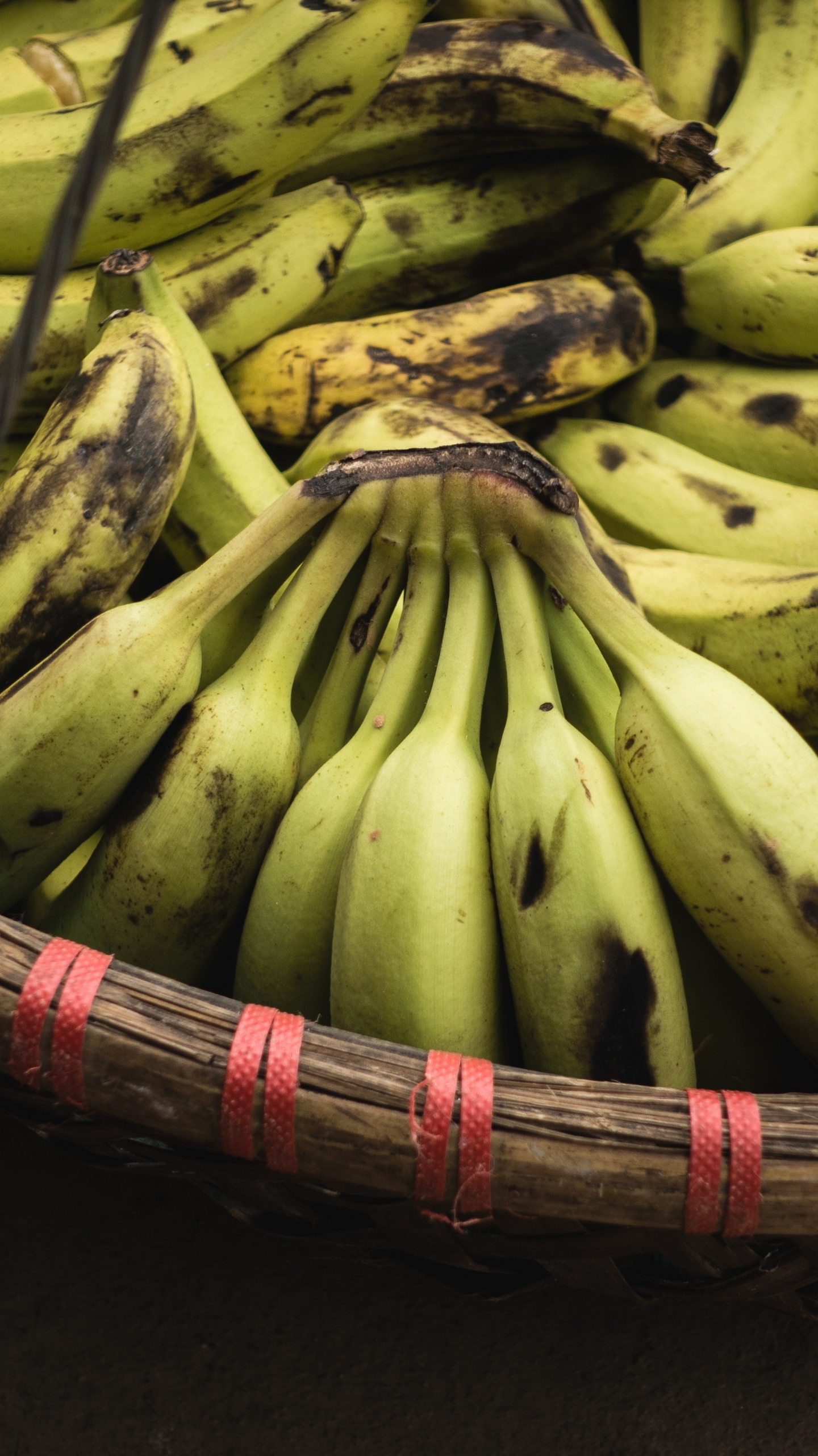 香蕉, 香蕉的家庭, 食品, 天然的食物, 当地的食物 壁纸 1440x2560 允许