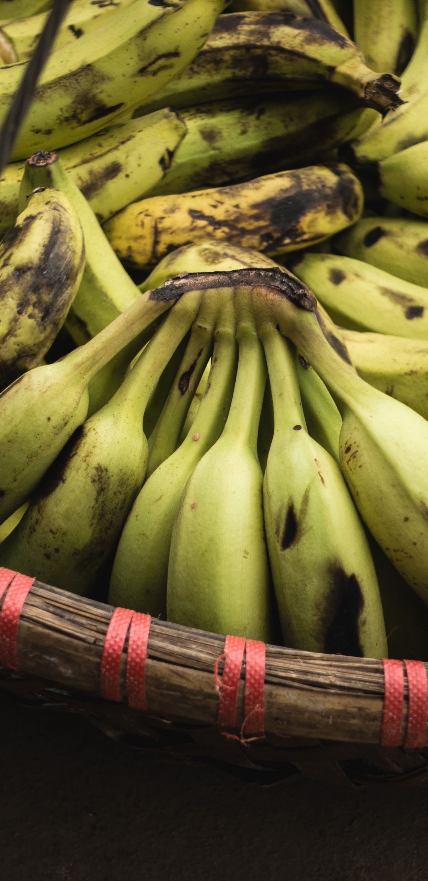 香蕉, 香蕉的家庭, 食品, 天然的食物, 当地的食物 壁纸 1440x2960 允许