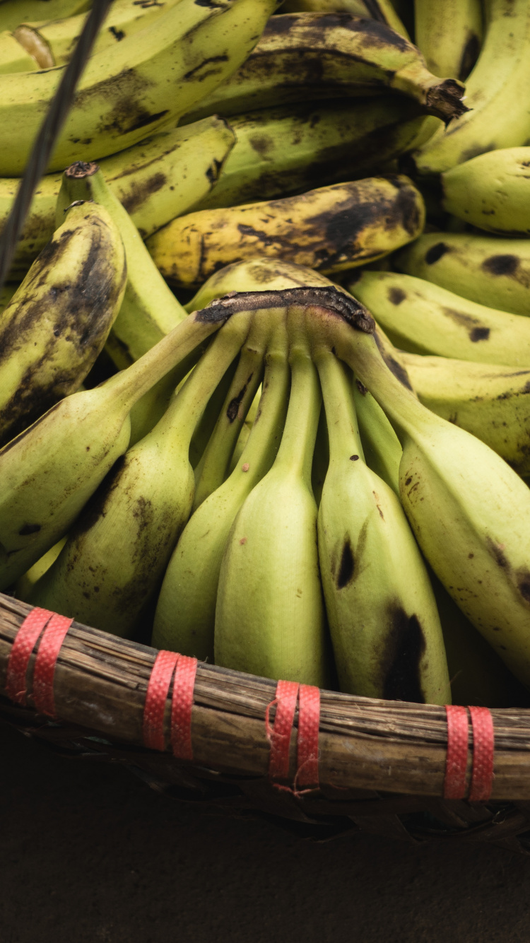 香蕉, 香蕉的家庭, 食品, 天然的食物, 当地的食物 壁纸 750x1334 允许