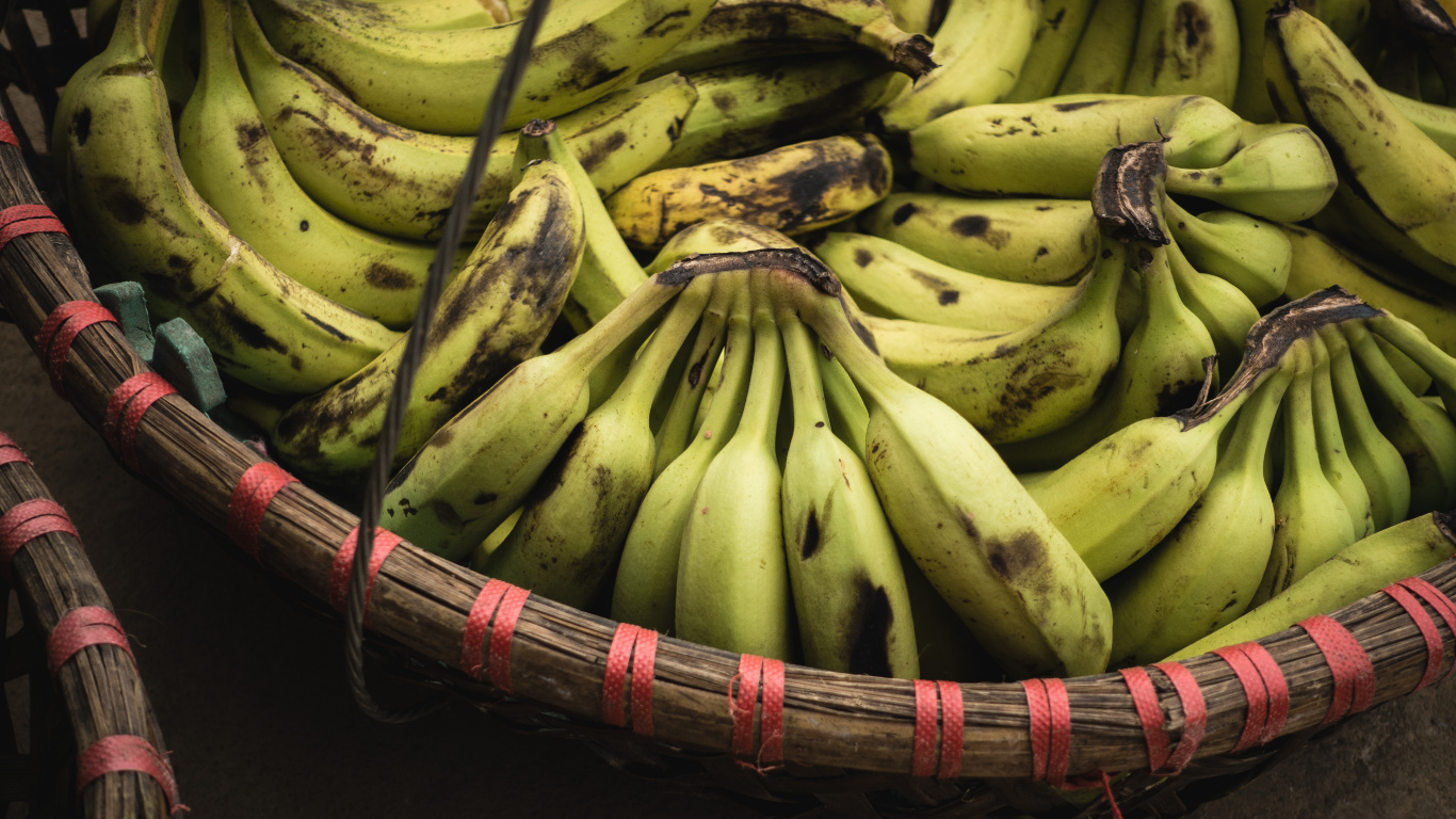 Green Banana Fruit on Brown Woven Basket. Wallpaper in 1366x768 Resolution
