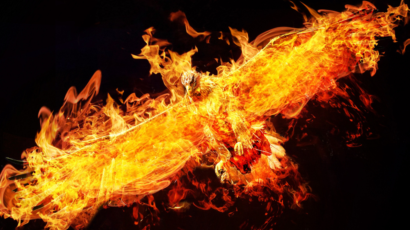 Fuego en Medio de la Oscuridad. Wallpaper in 1366x768 Resolution