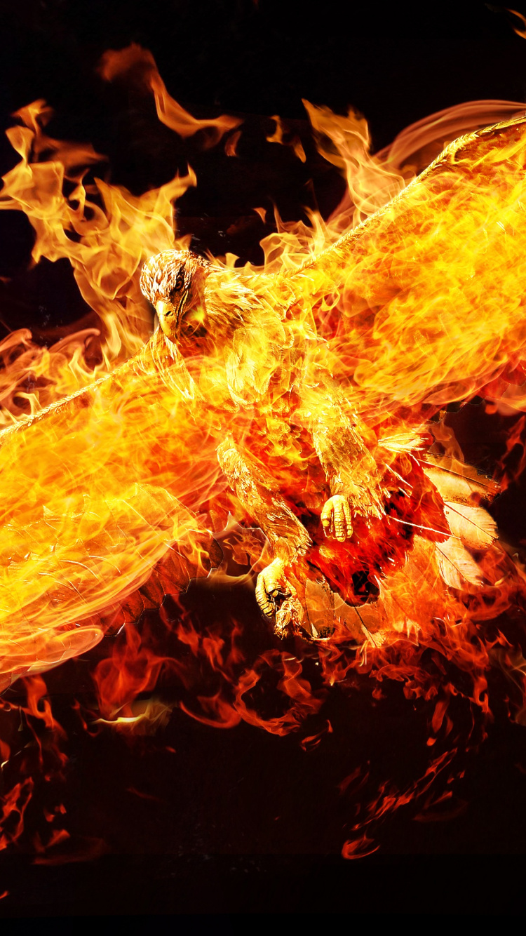 Fuego en Medio de la Oscuridad. Wallpaper in 750x1334 Resolution