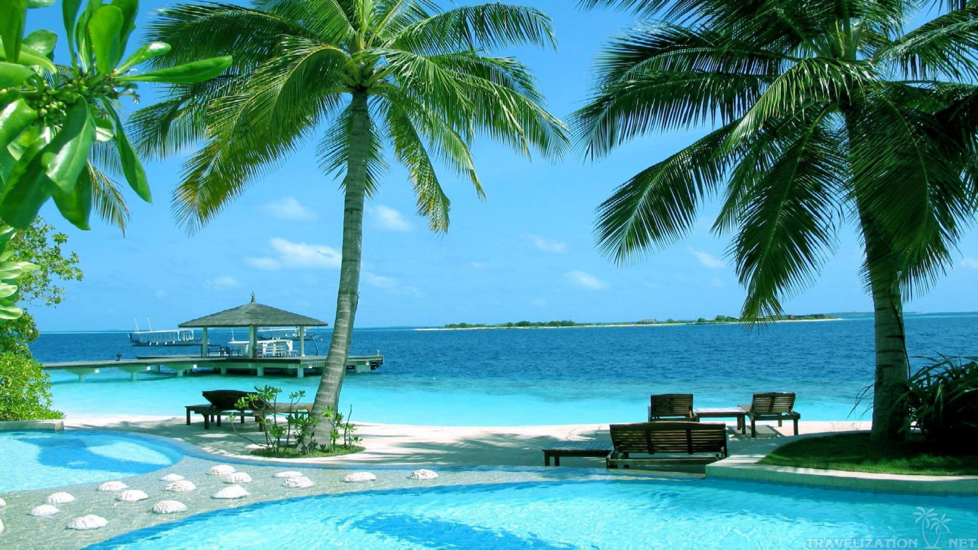 Palm Tree Near Body of Water During Daytime. Wallpaper in 1920x1080 Resolution