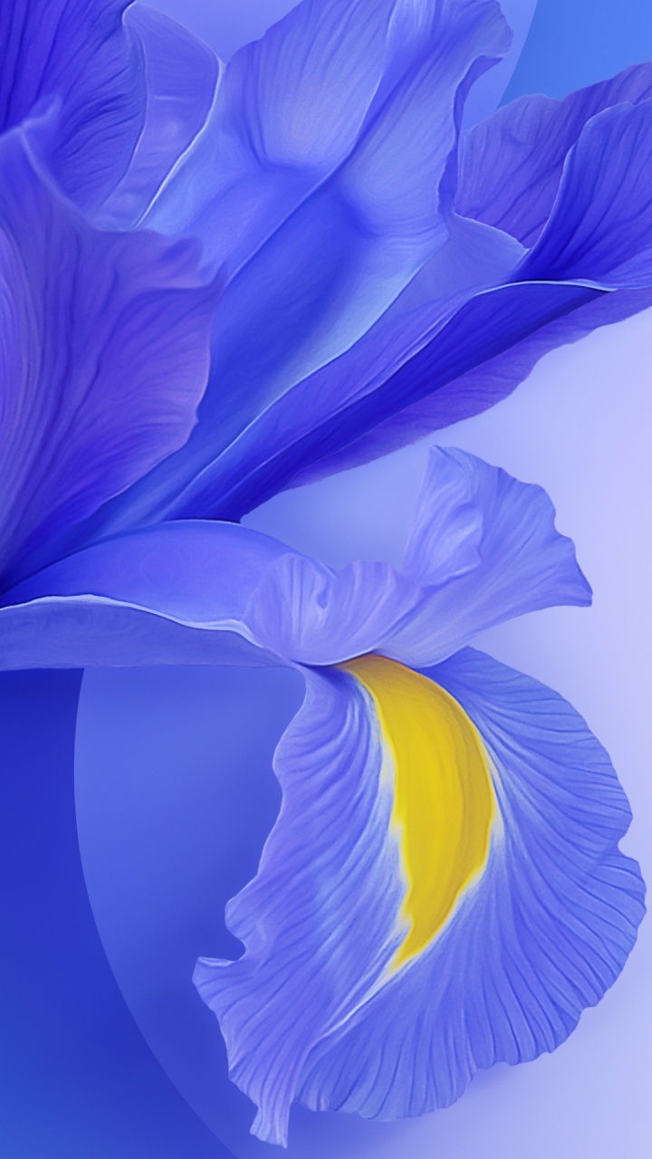 Xiaomi, Xiaomi Redmi K20 Pro, Tapeten mi 9, Xiaomi mi 9, Xiaomi mi 9 Pro. Wallpaper in 720x1280 Resolution