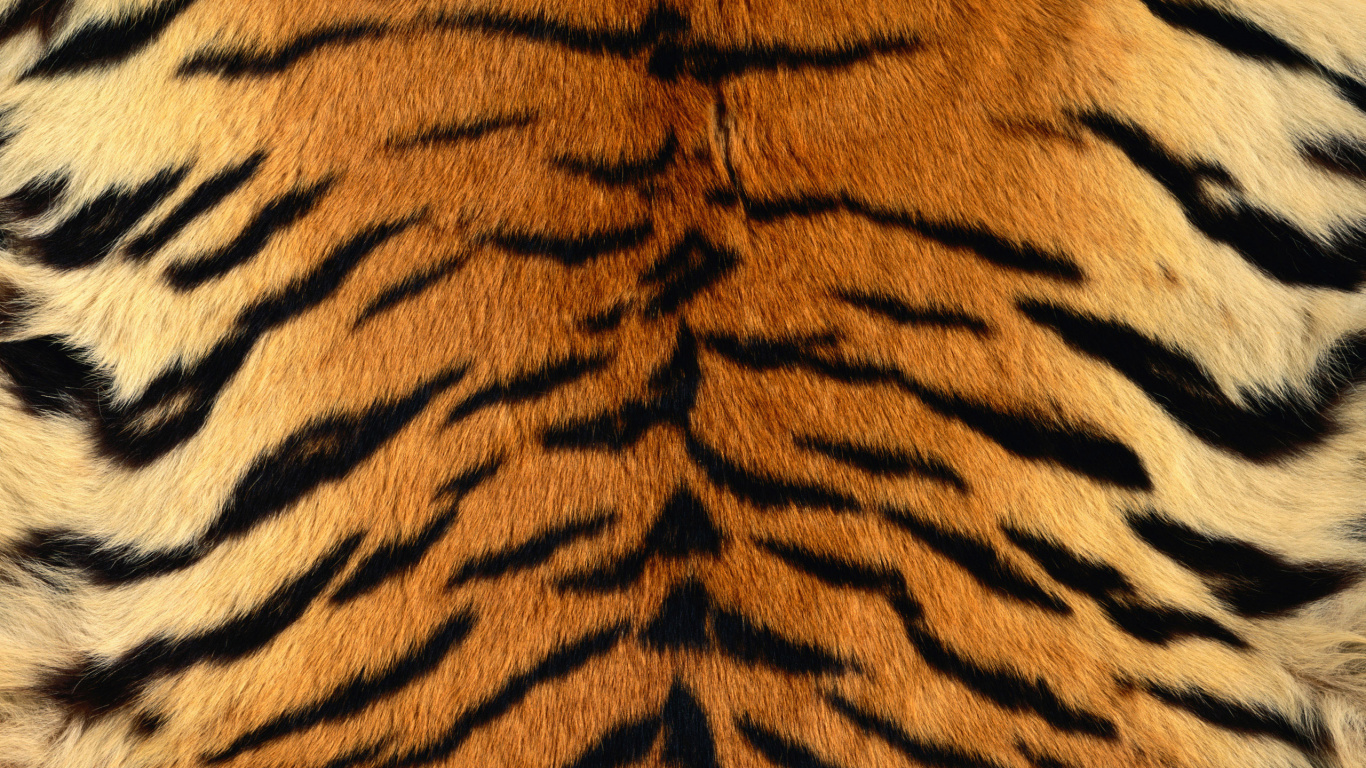 Brown and Black Area Rug. Wallpaper in 1366x768 Resolution