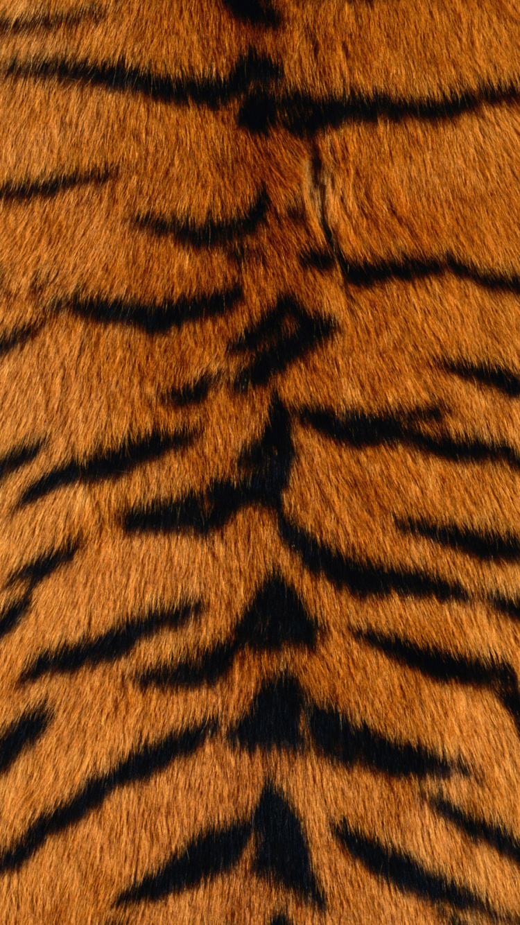 Brown and Black Area Rug. Wallpaper in 750x1334 Resolution