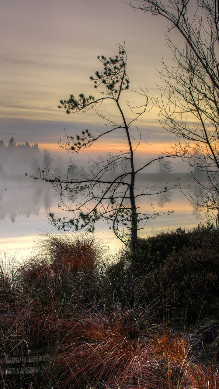 Eau, L'écorégion, Paysage Naturel, Rameau, Afterglow. Wallpaper in 720x1280 Resolution