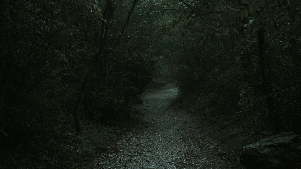 Nature, Noir, Environnement Naturel, Paysage Naturel, Forêt. Wallpaper in 1280x720 Resolution