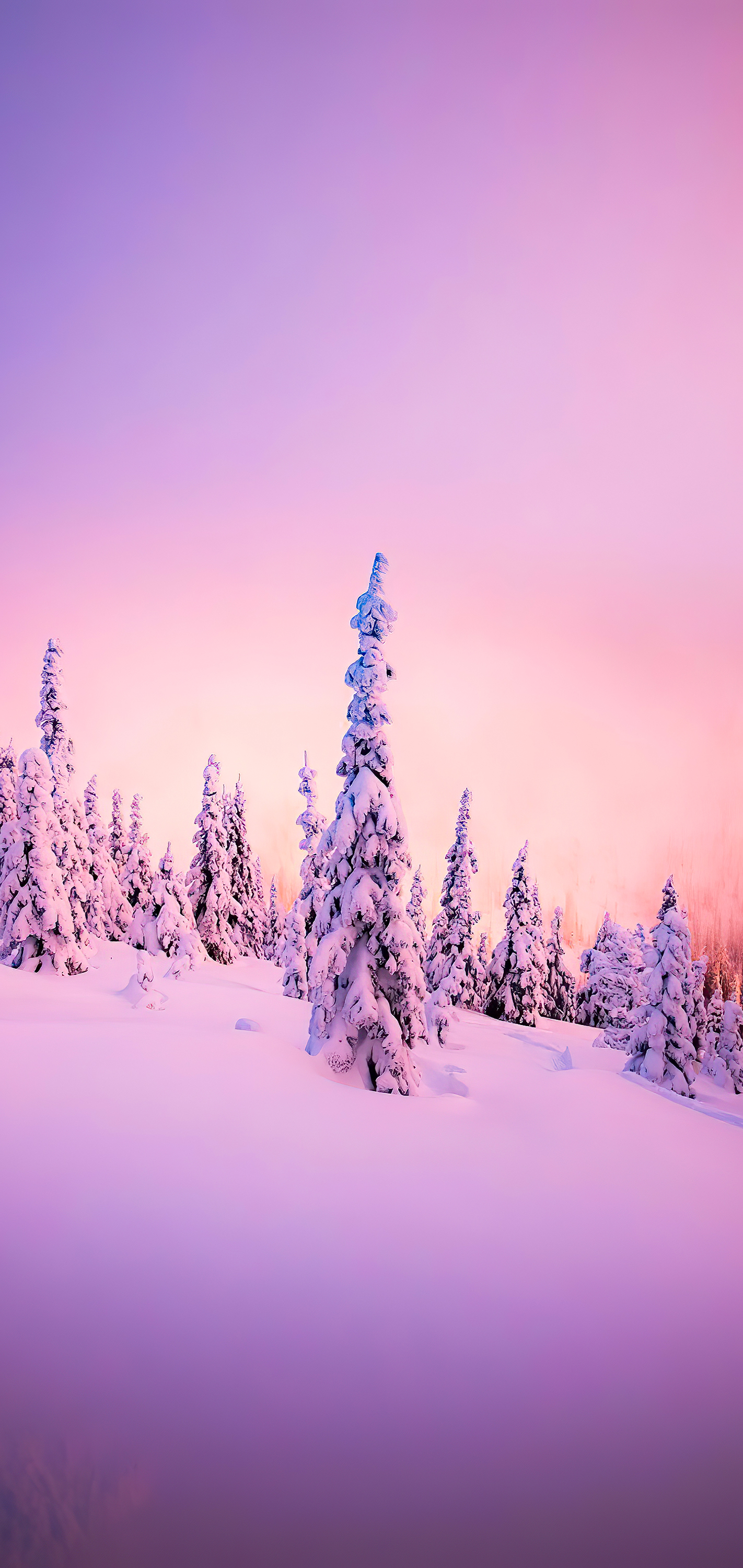 Fonds D Ecran Hiver Images De Hiver Photos De Hiver