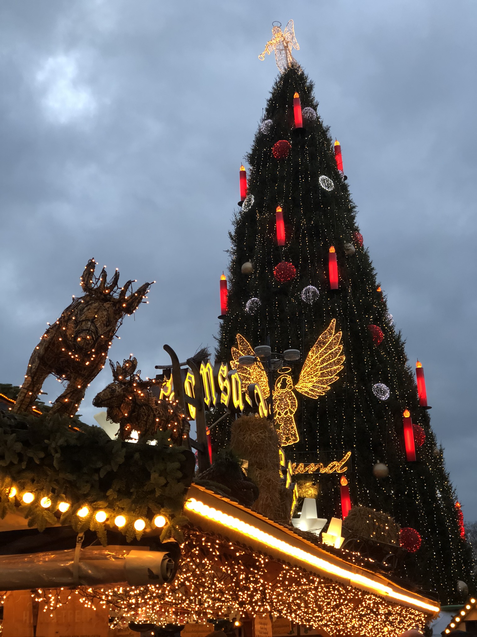 Kostenlose Hintergrundbilder Weihnachtsbaum, Weihnachten, Fichte,  Weihnachtsbeleuchtung, Tradition, Bilder Für Ihren Desktop Und Fotos