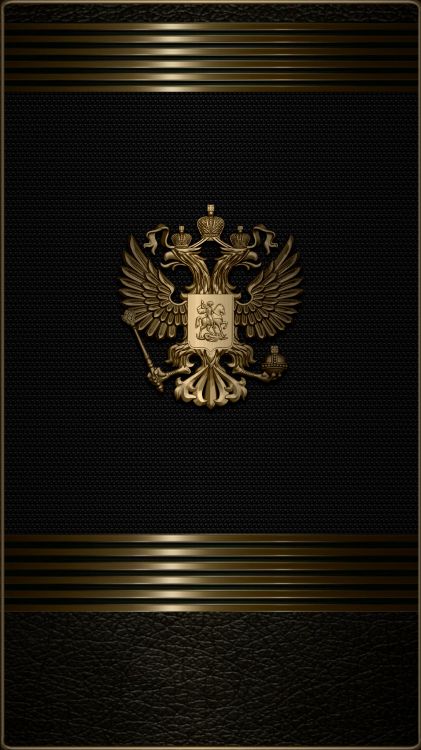 Muster, Accipitriformes, Emblem, Vogel, Abzeichen. Wallpaper in 1152x2048 Resolution