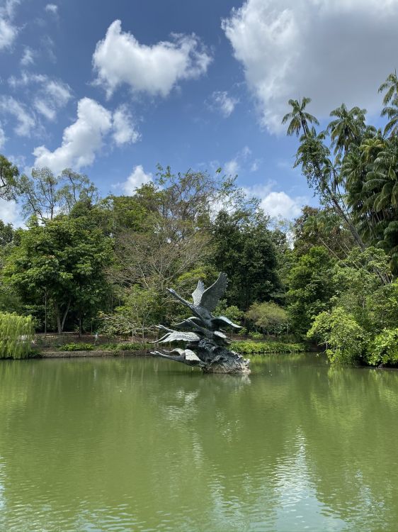 性质, 植被, 水资源, 自然景观, 银行 壁纸 1536x2048 允许