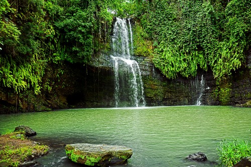 Image water falls in the middle of green grass field