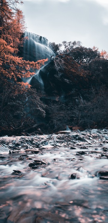Image water falls in the forest