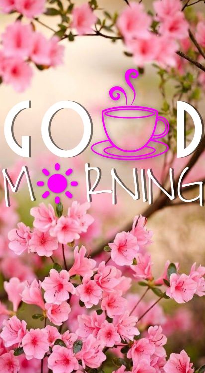 早上, 粉红色, 弹簧, 文本, 开花 壁纸 2200x3997 允许