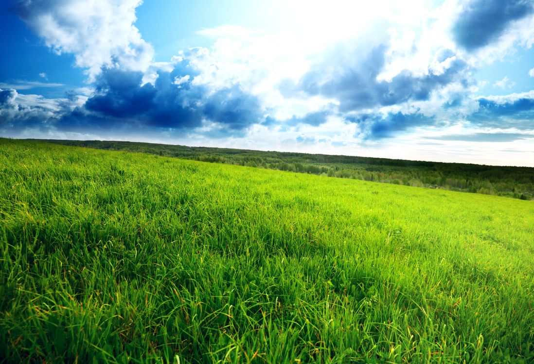 Fondos De Pantalla Campo De Hierba Verde Bajo Un Cielo Azul Y Nubes 