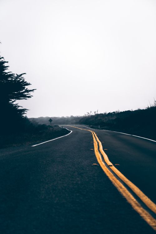 natural landscape, highway, tree, asphalt, infrastructure