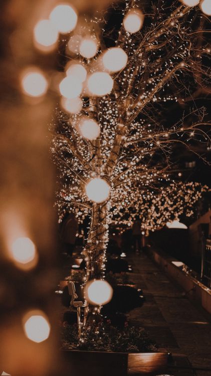 Lumière, Arbre de Noël, Fujifilm, Les Lumières de Noël, Éclairage. Wallpaper in 1215x2160 Resolution