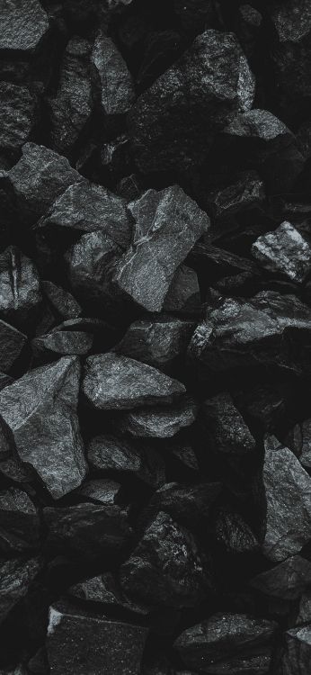 Noir et Blanc, Obscurité, Monochrome, Noir, Matière Naturelle. Wallpaper in 1420x3073 Resolution