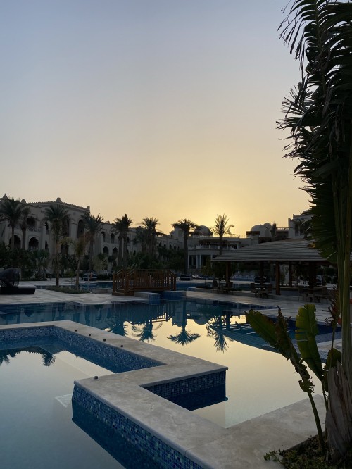 Image reflection, Swimming pool, palm trees, water, water resources