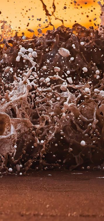 Holz, Brown, Wasser, Natürlichen Umgebung, Gewässer. Wallpaper in 1421x3000 Resolution