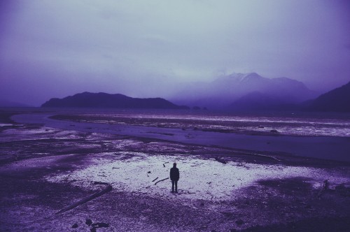 Image sea, purple, ocean, violet, coast