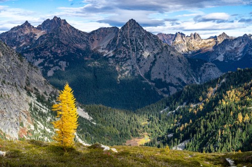 Image okanogan-wenatchee national forest, cloud, plant, mountain, natural landscape