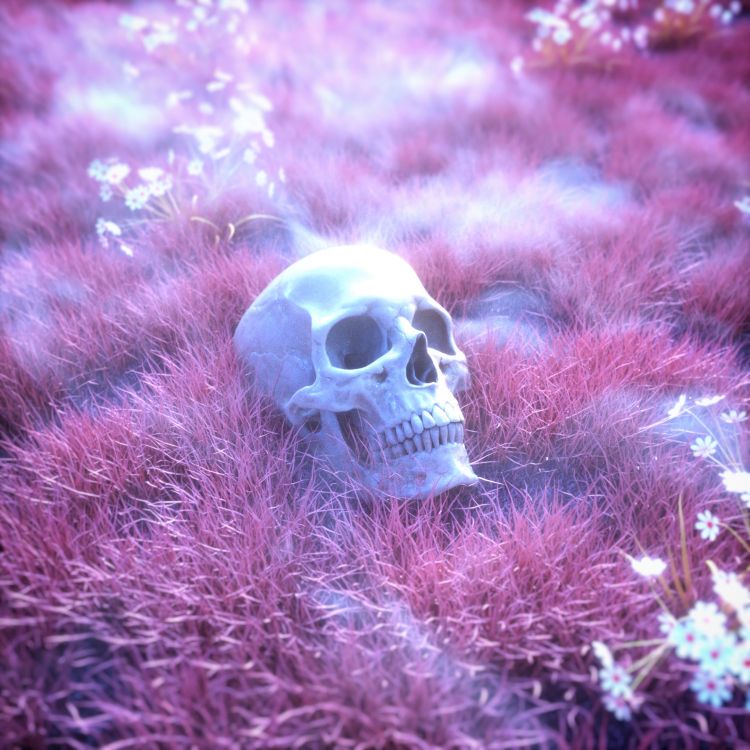 White and Brown Skull on Green Grass. Wallpaper in 2160x2160 Resolution