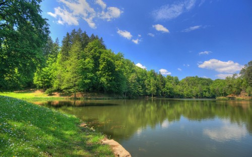 Image green trees beside river under blue sky during daytime