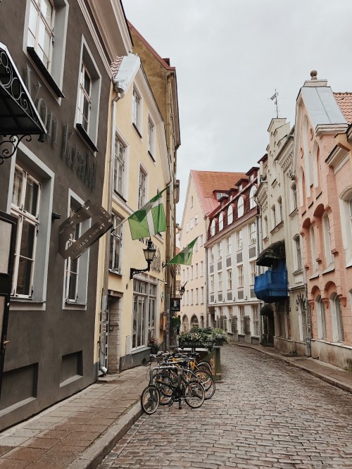 Image lane, road, window, town, street